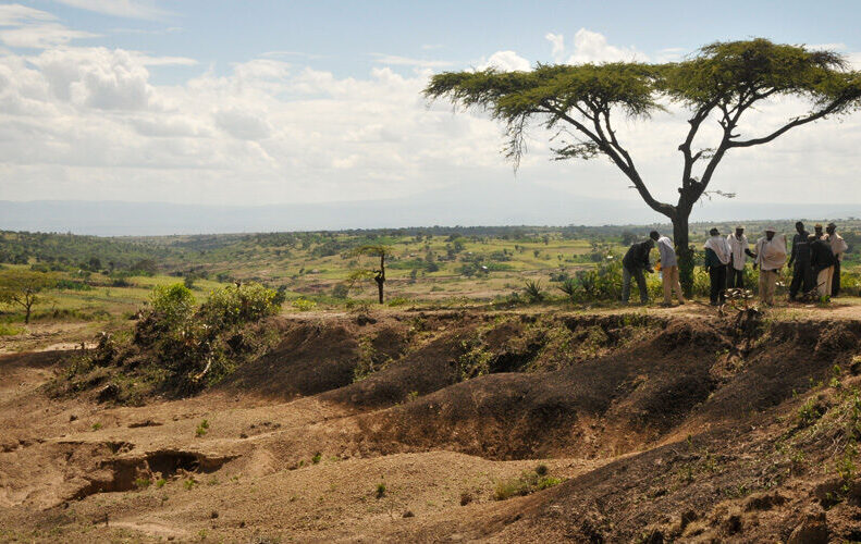 19335654861 ca32c49ffb o